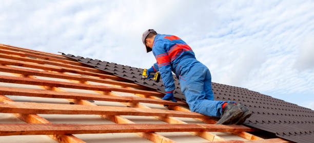 Best Roof Installation  in College, AK