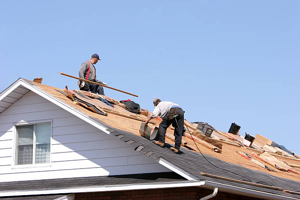 Best Asphalt Shingle Roofing  in College, AK