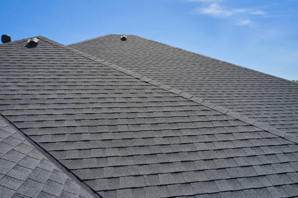 Best Roof Ventilation Installation  in College, AK