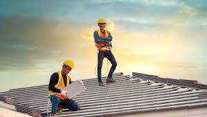 Best Roof Moss and Algae Removal  in College, AK